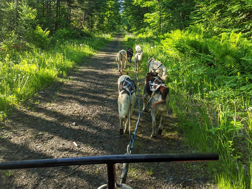 2 Mile Cart Tour